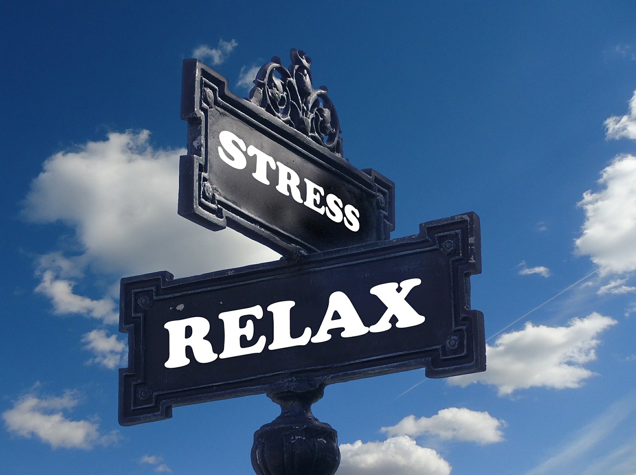 stress and relaxation